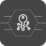 InstantLicX Team